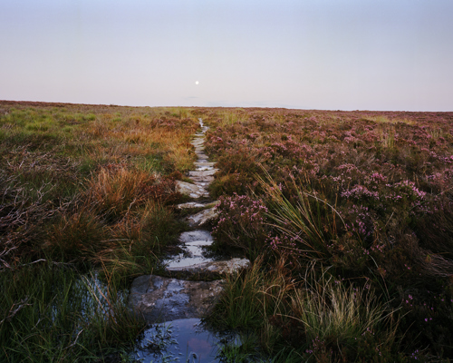 Moorland Landscapes: Moorland pathway lined with flagstones meandering through a heather-covered moorland in North Yorkshire. The purple heather is in bloom, and the sky above is dimming, suggesting dusk, with a soft glow from the setting sun. A pale moon is visible in the sky. The ground on either side of the path is lush with grass and wet in places, reflecting the tranquil, natural setting. a river running through a grassy field