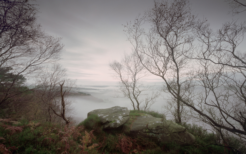 A mossy rock outcrop forms a natural viewpoint amidst bare trees and ferns. A carpet of mist blankets the landscape below, with the horizon faint in the distance under a muted sky.