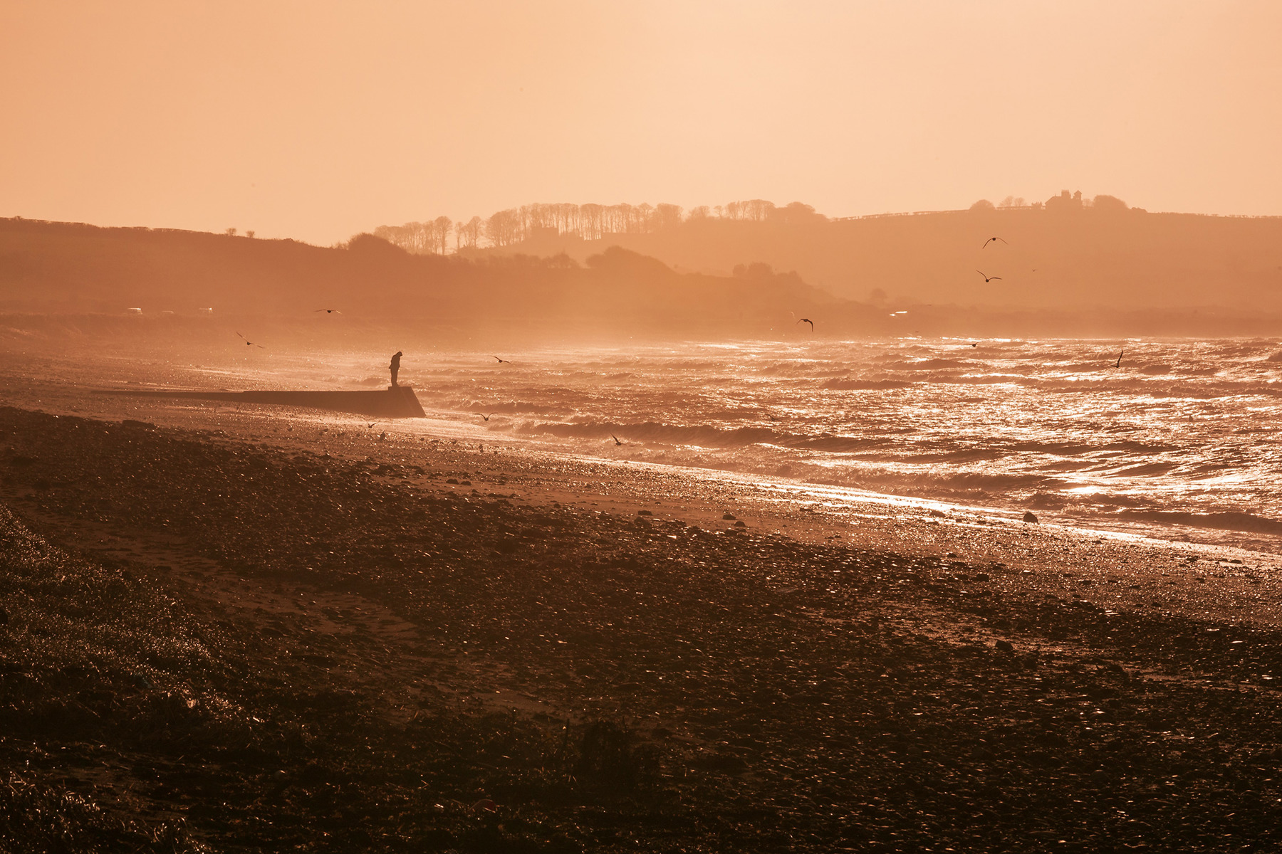a person standing on a beach. outdoor sky water horizon shore nature landscape beach wave sunset ground sun ocean