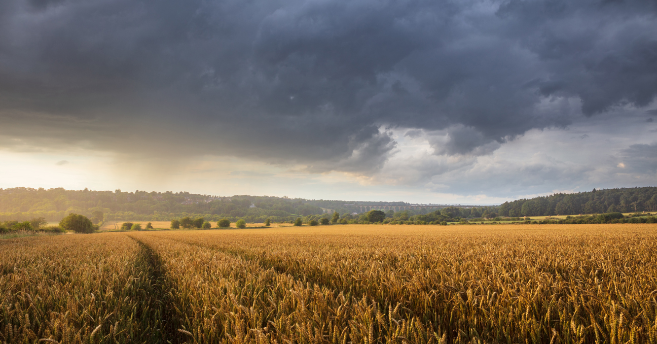 The Crimple Valley