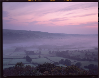 Autumn Dawn Mist