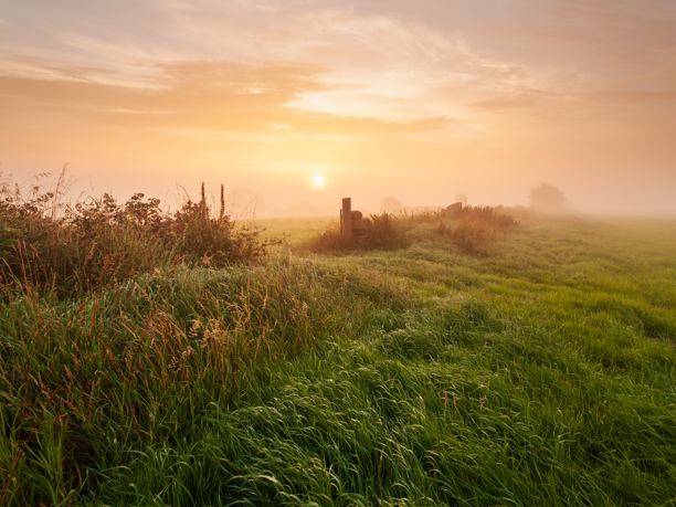 Harrogate Landscapes 