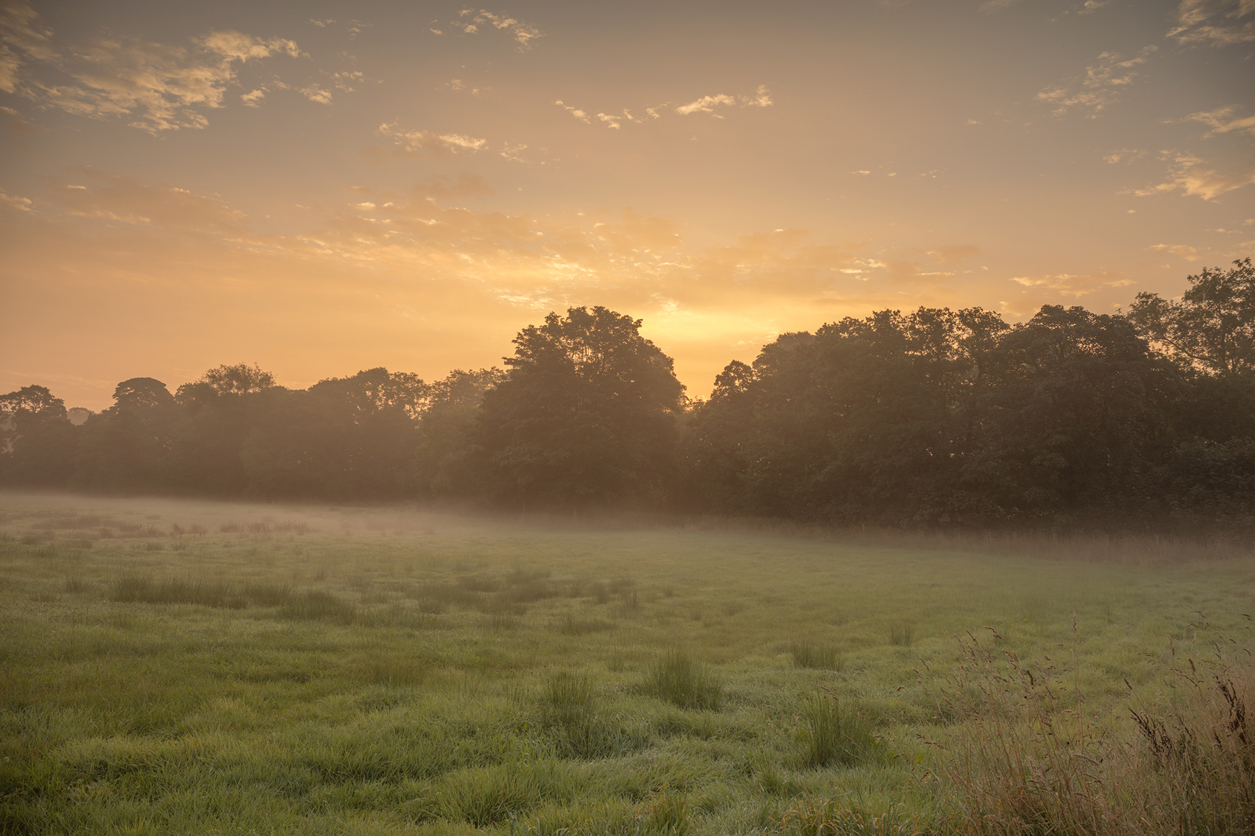 a group of clouds in the sky. outdoor sky grass fog tree cloud landscape field sunrise sunset nature plant mist morning autumn