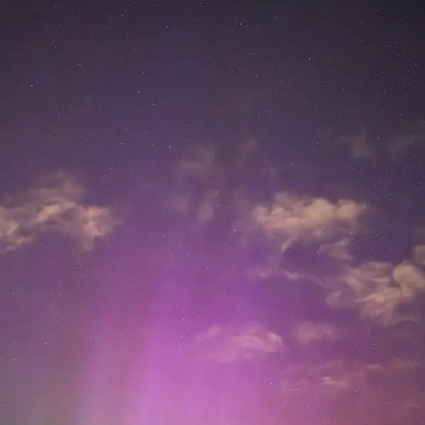 Harrogate Northern Lights