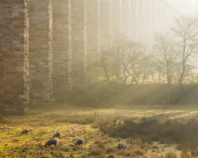 Crimple Viaduct Winter Morning