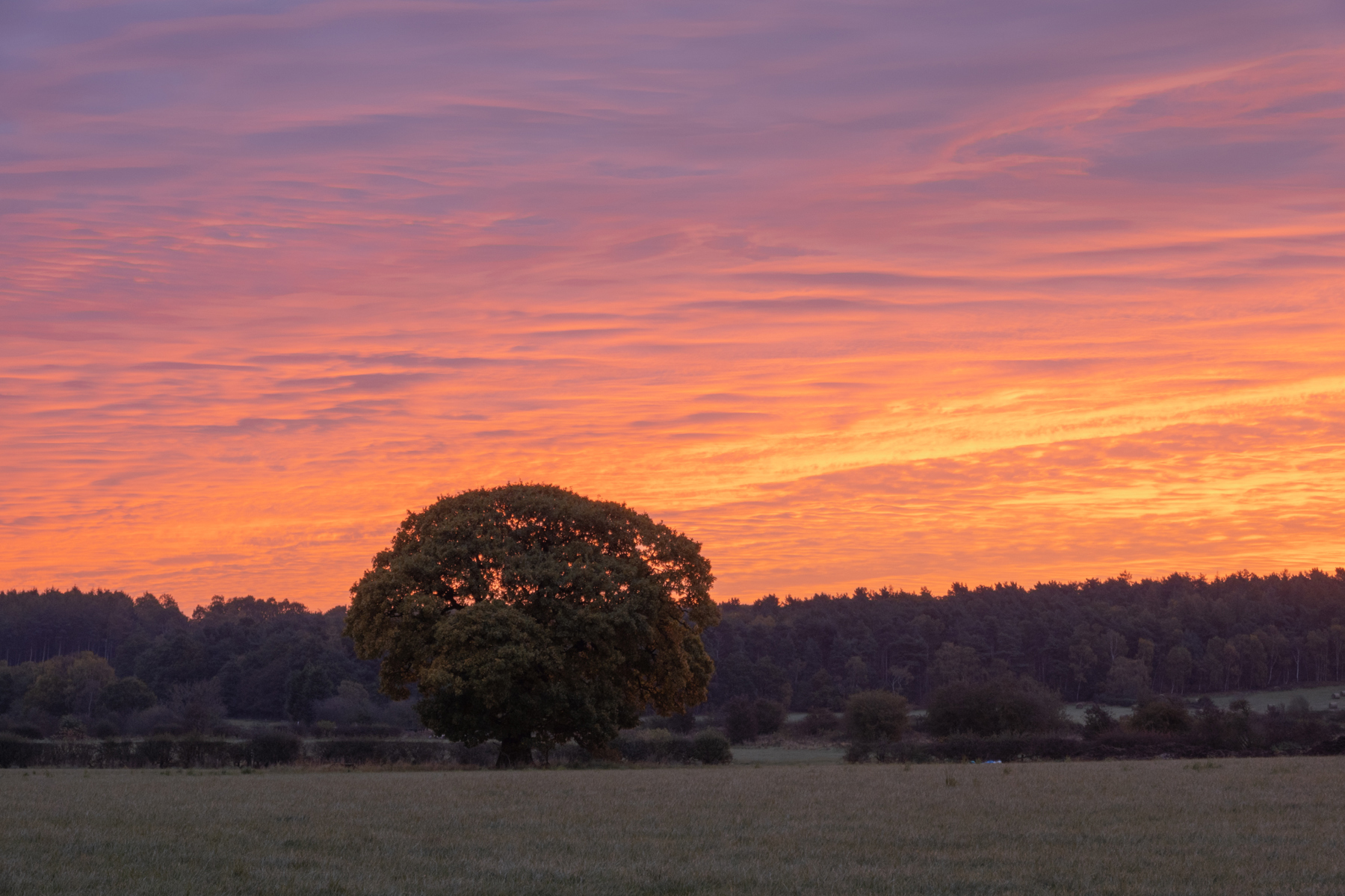 a sunset over a body of water. outdoor sky cloud tree nature sunset sunrise landscape cloudy distance clouds day