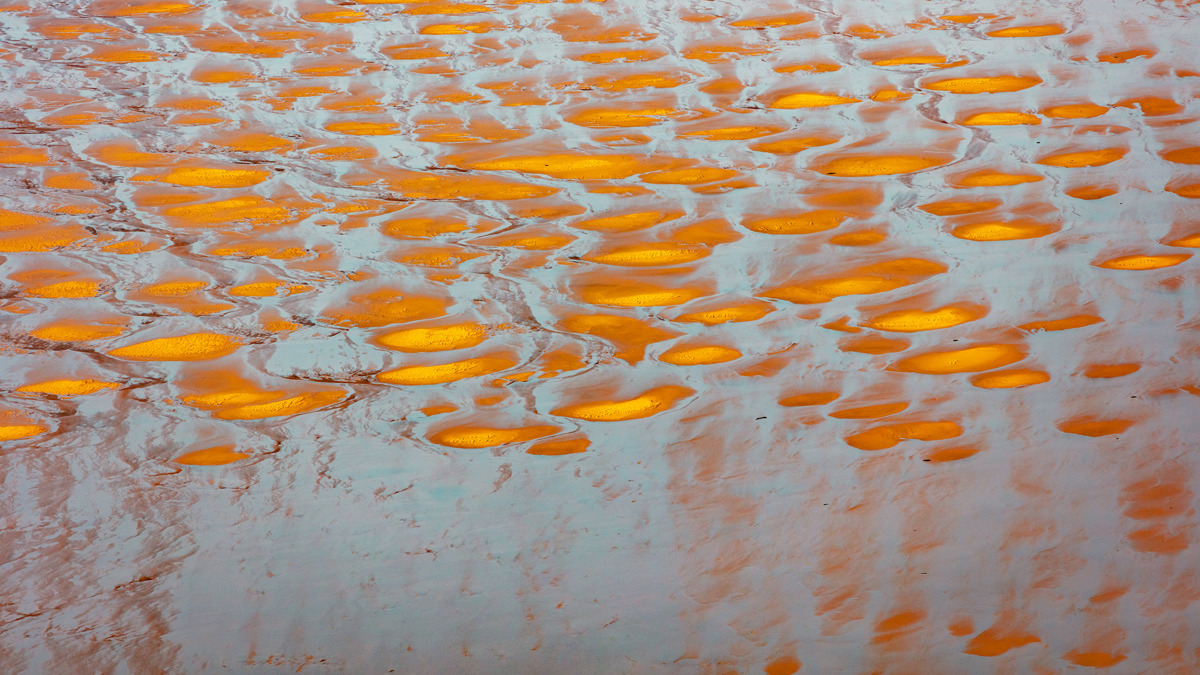  a group of orange and white objects