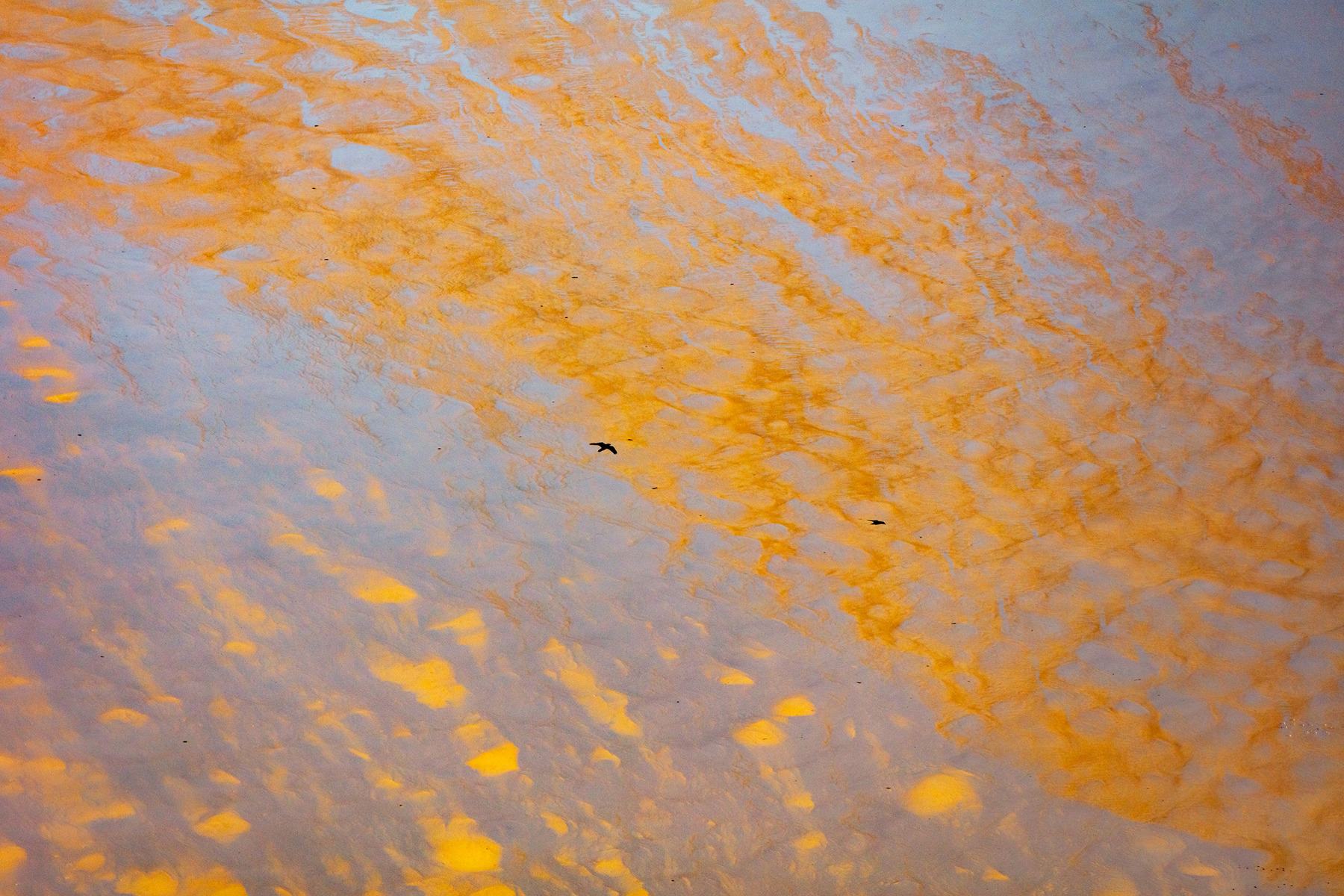 a close up of a surface. yellow water amber abstract orange outdoor