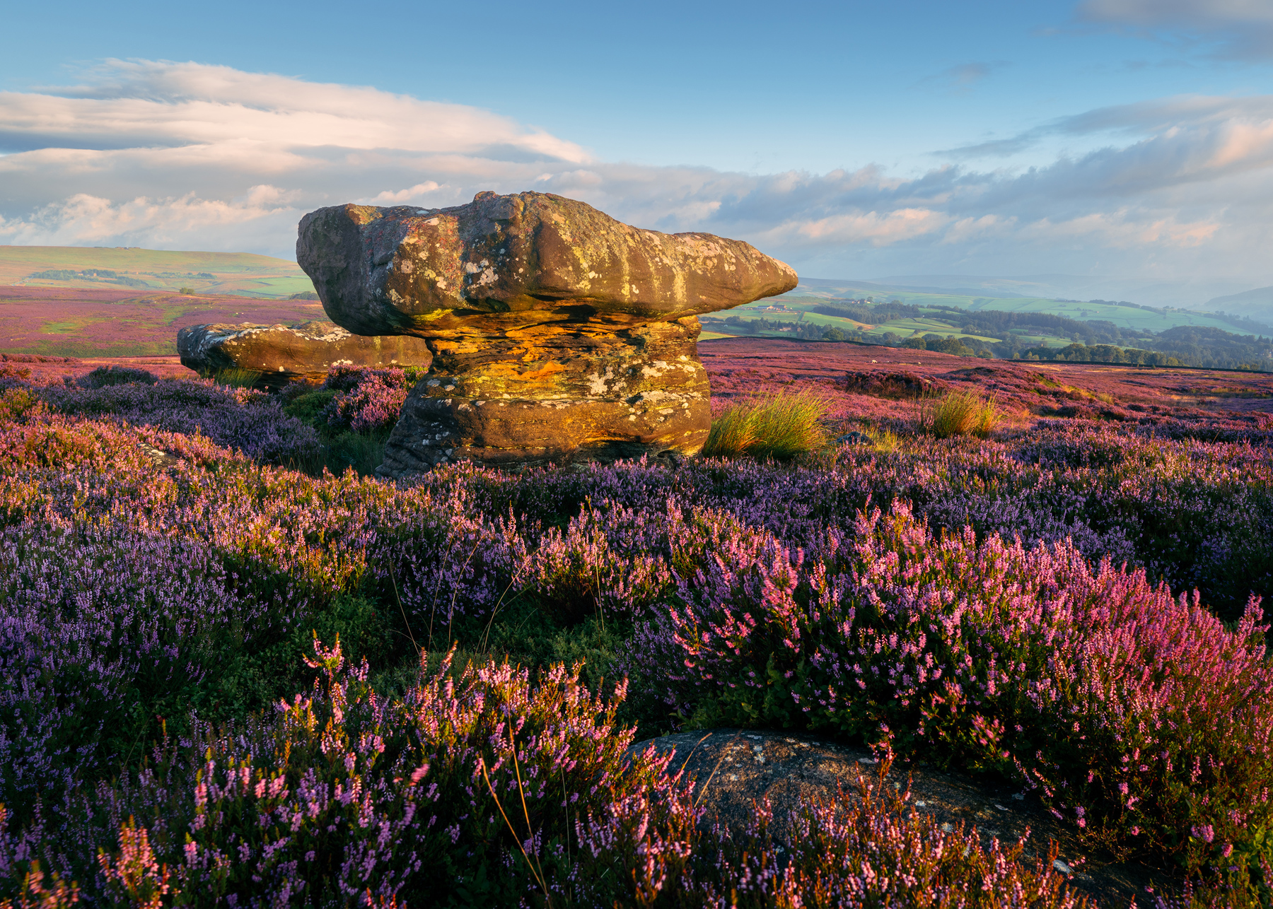 a rock formation in a field of flowers. sky outdoor plant cloud landscape grass flower nature field rock mountain purple