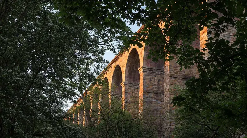 View to Crimple Viaduct through trees. a bridge over a forest. tree outdoor building bridge sky plant arch