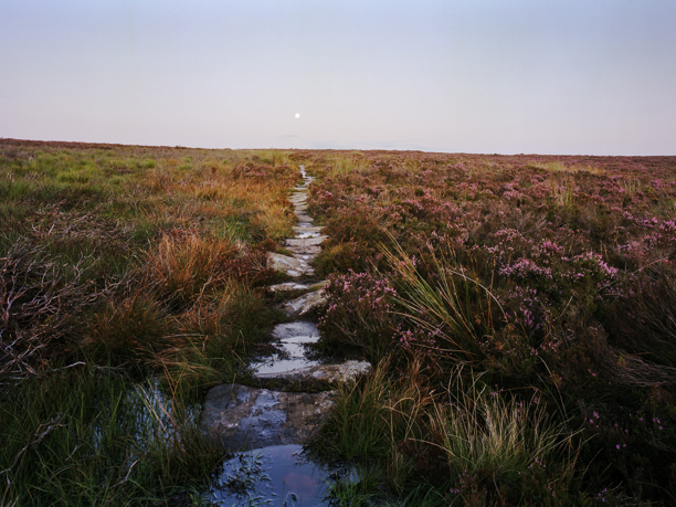 North Yorkshire's Wild Moorlands Moorland pathway lined with flagstones meandering through a heather-covered moorland in North Yorkshire. The purple heather is in bloom, and the sky above is dimming, suggesting dusk, with a soft glow from the setting sun. A pale moon is visible in the sky. The ground on either side of the path is lush with grass and wet in places, reflecting the tranquil, natural setting.