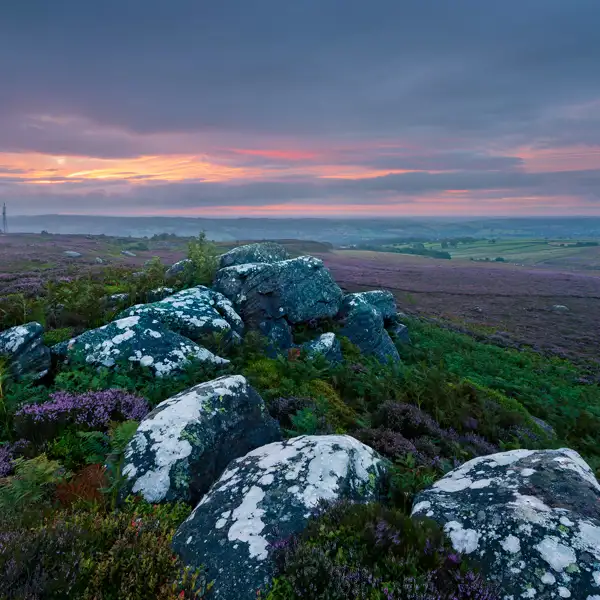 August dawns