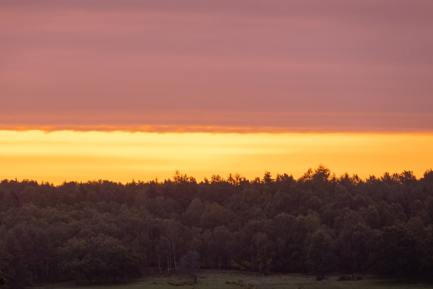 a sunset over a grass field. outdoor tree sky grass cloud sunset field sunrise nature landscape pasture forest distance