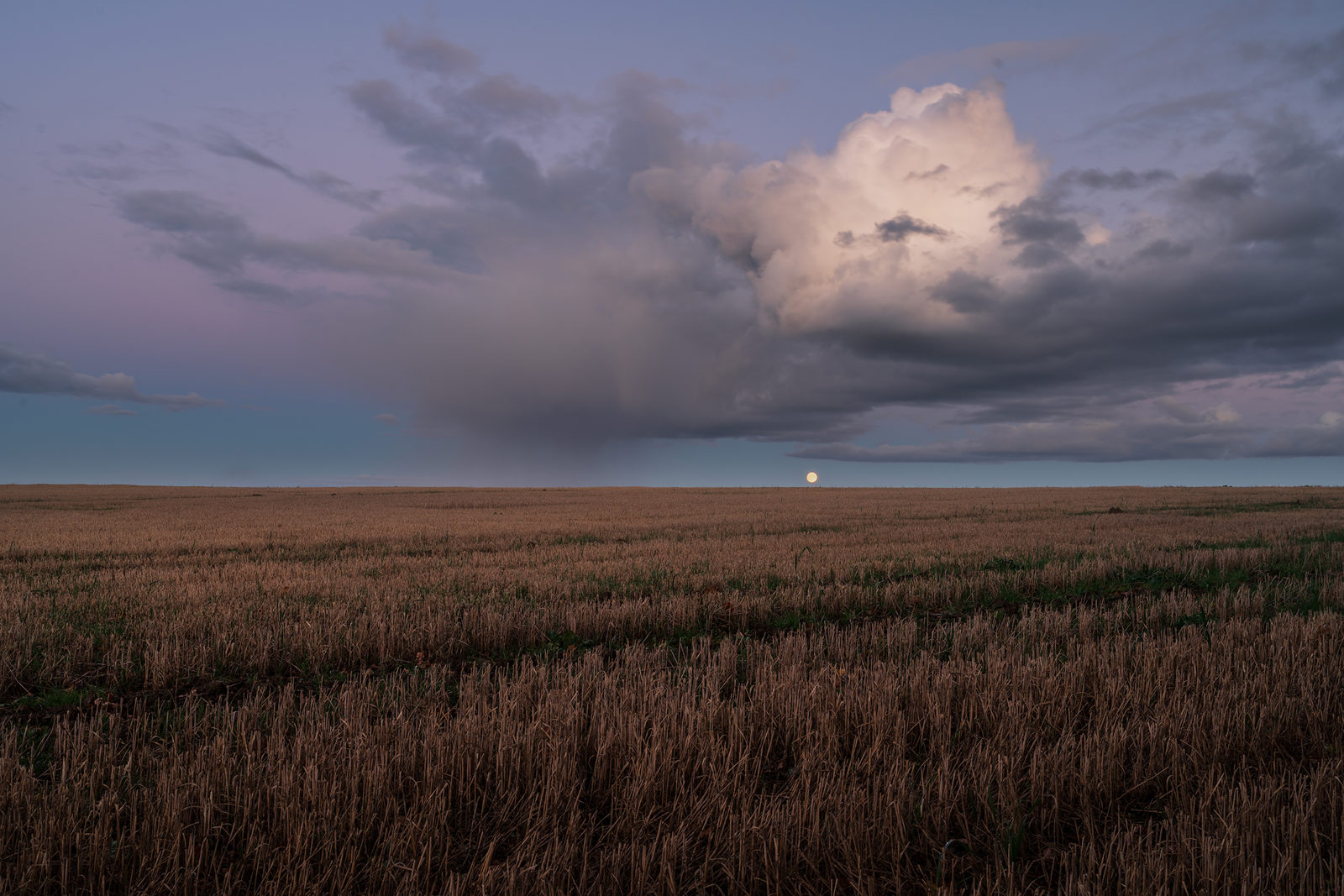 In Harrogate's Crimple Valley, an expansive field of stubble stretches to the horizon under a twilight sky. A full moon rises, small and bright, against gathering storm clouds which are tinged with a soft pink glow from the sun's last light.
