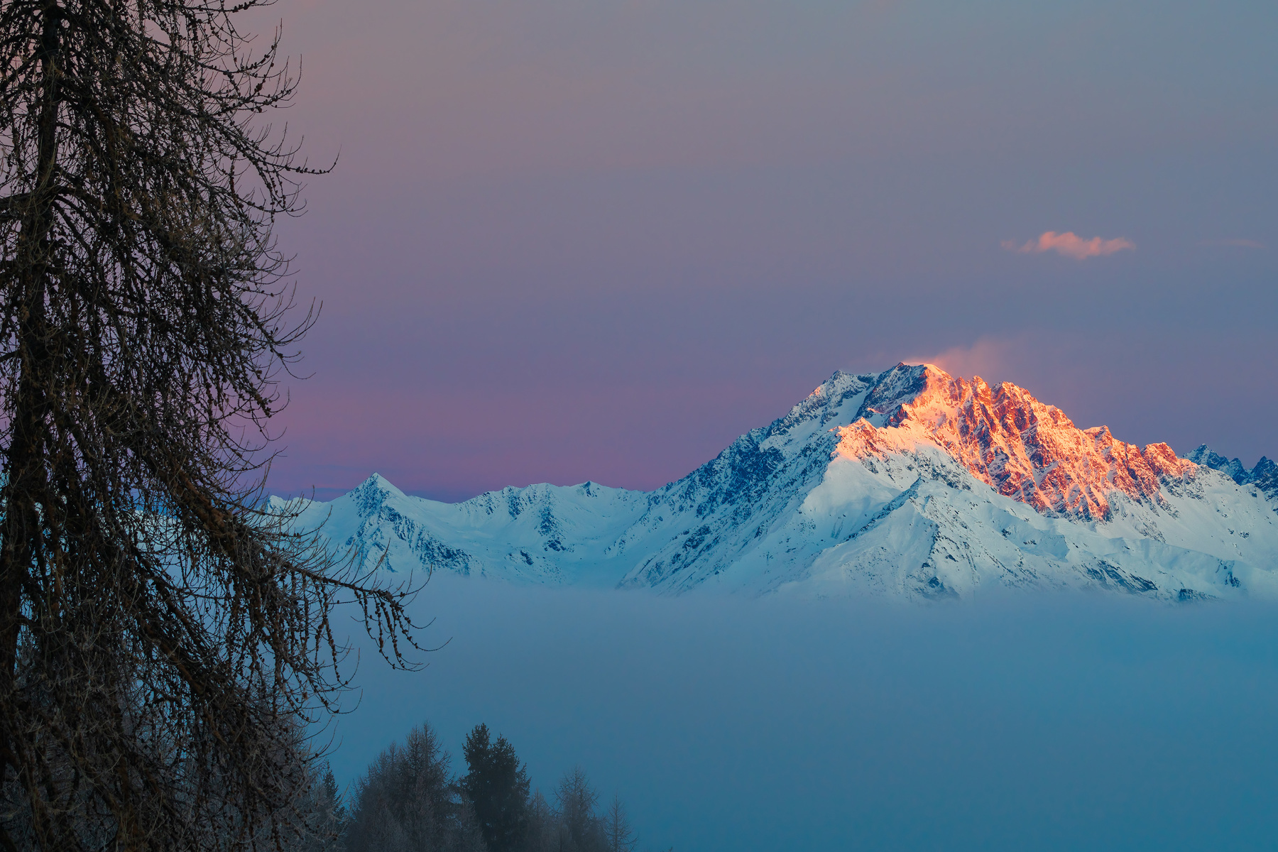 a snowy mountain with trees. nature outdoor winter landscape tree sky mountain snow summit glacial landform mountain range sunrise
