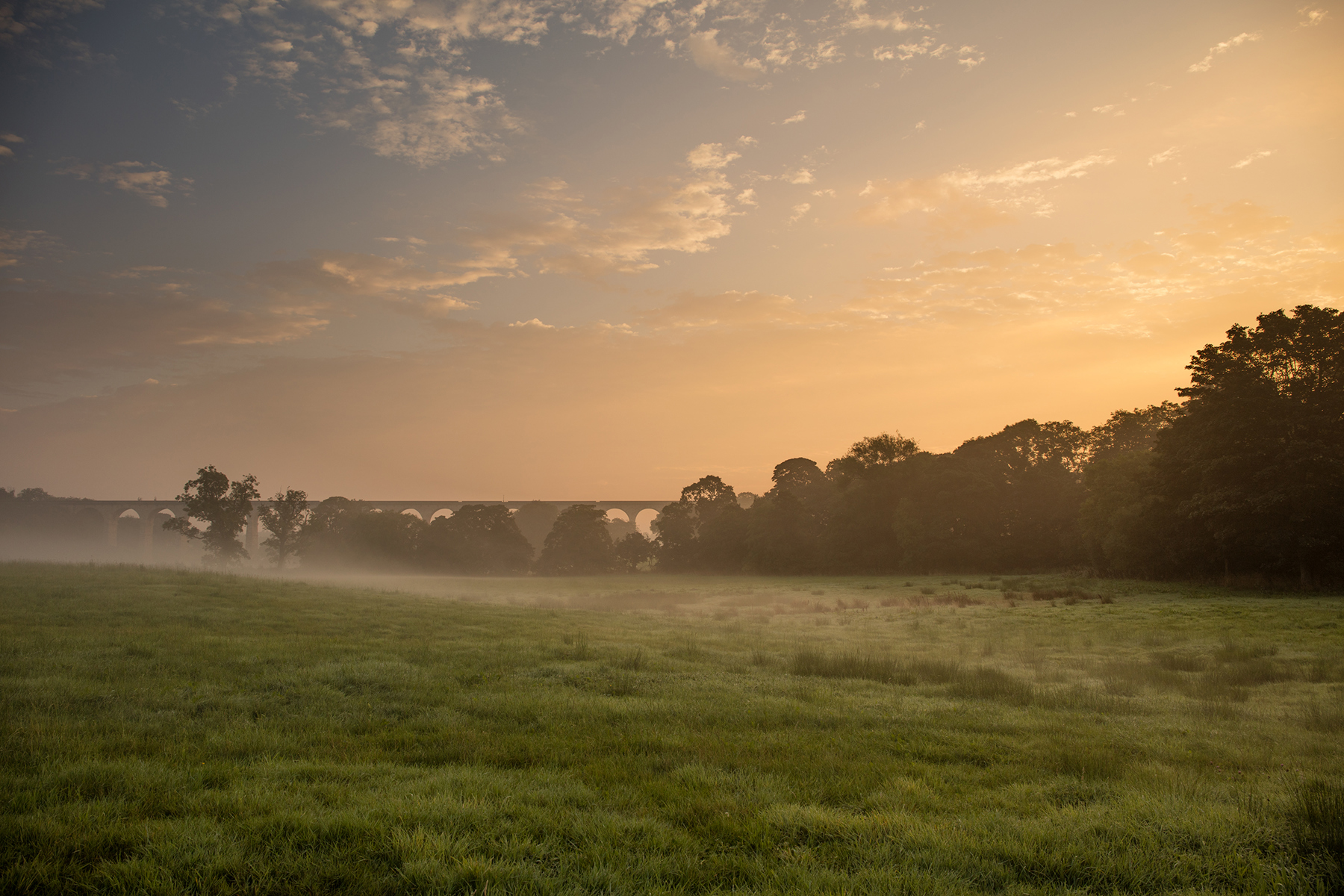 a group of clouds in the sky. grass outdoor sky cloud fog tree landscape field sunrise nature sunset grassy