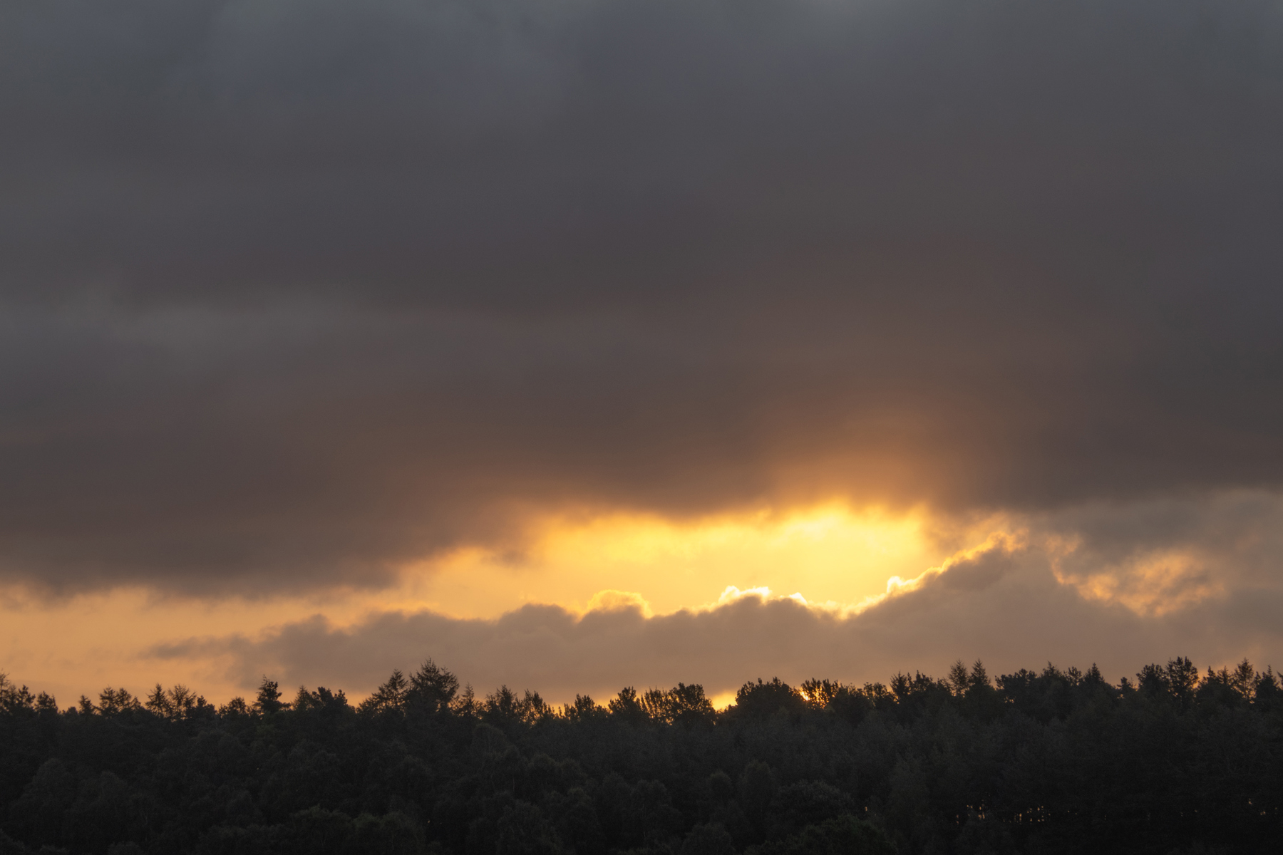 clouds in the sky. sky outdoor clouds cloud tree cloudy nature sunrise sunset sun landscape day night sky