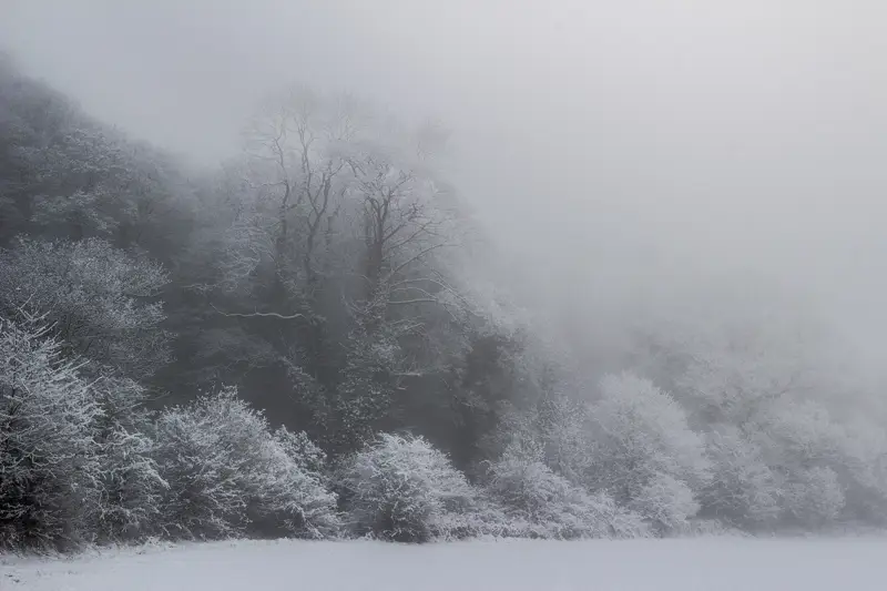 a snow covered field. outdoor snow fog tree nature landscape winter cold sky smoke