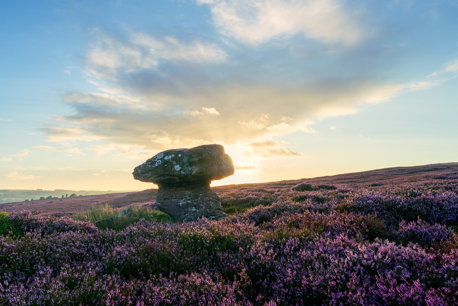 a rock in a field of purple flowers. sky cloud outdoor plant landscape grass rock flower nature field megalith purple sunrise sun sunset