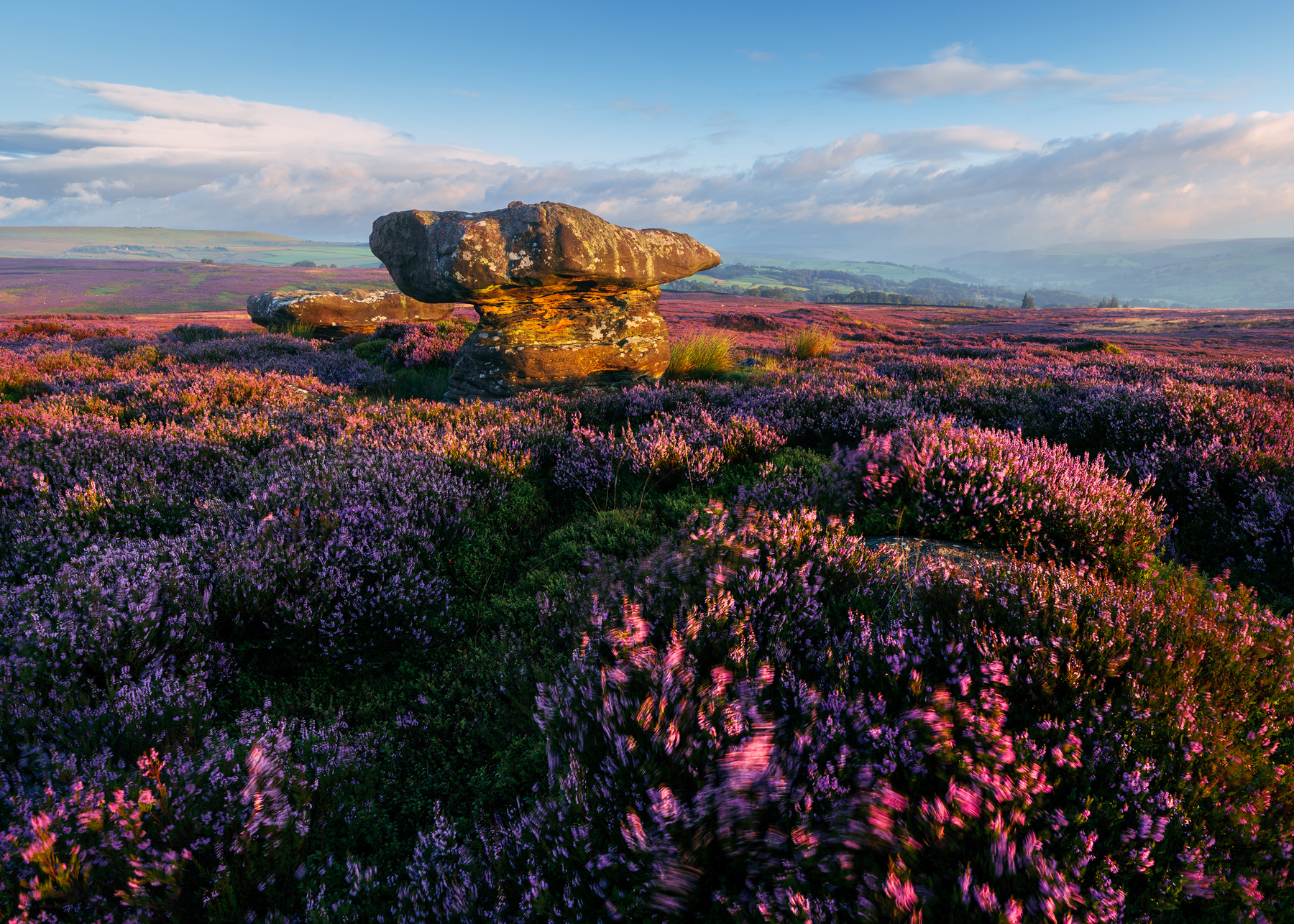 a field of flowers with a rock structure in the background. outdoor sky plant cloud flower grass nature field landscape mountain sunset purple sunrise