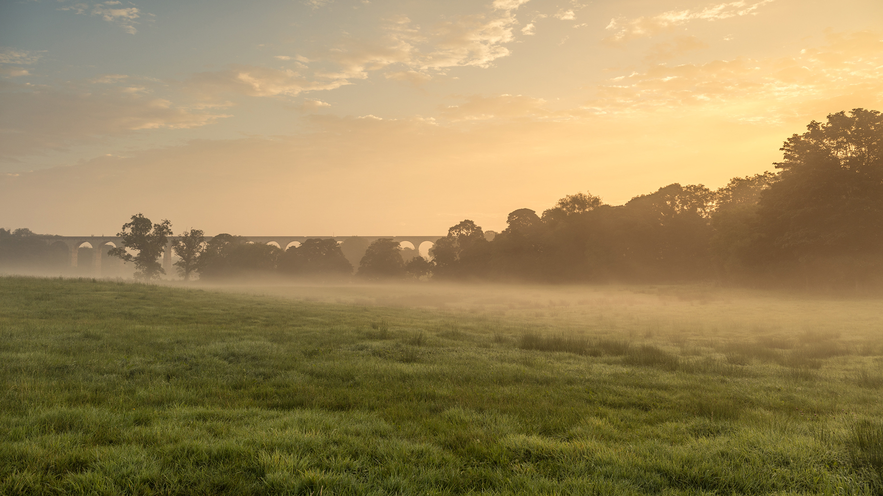 a sunset over a grass field. outdoor grass sky fog landscape cloud tree nature sunrise field mist morning sunset autumn