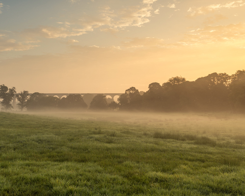 Harrogate Landscapes:  a sunset over a grass field