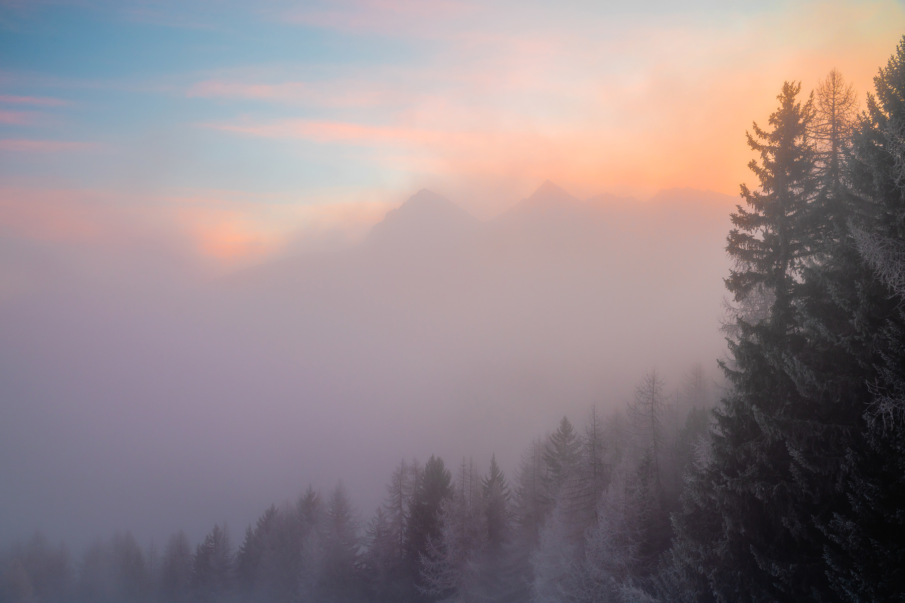 a foggy forest with trees. outdoor sky landscape winter fog tree sunrise mist cloud spruce morning haze mountain sunset nature