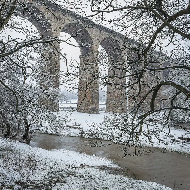 Trees frame the Crimple Viaduct on a cold winter day . a tree with snow on the ground. tree outdoor snow winter sky nature