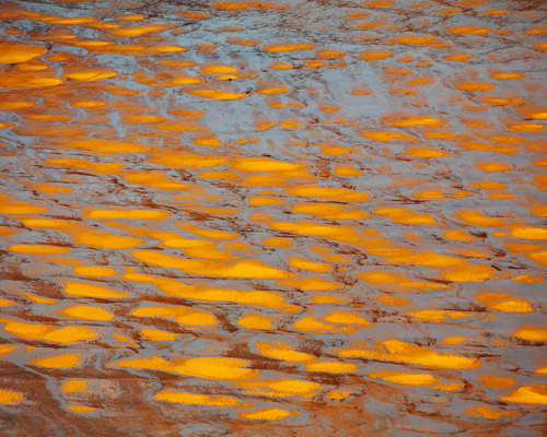 Reflections:  a body of water with yellow and red leaves on it