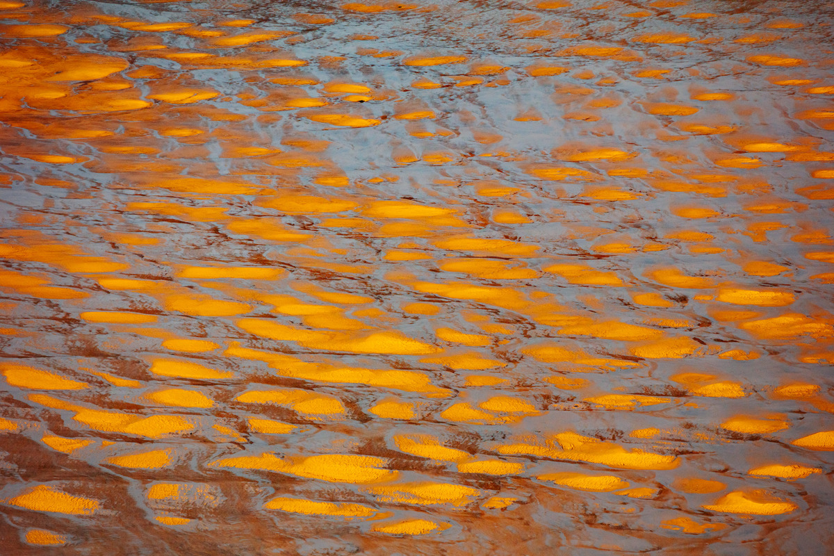  a body of water with yellow and red leaves on it