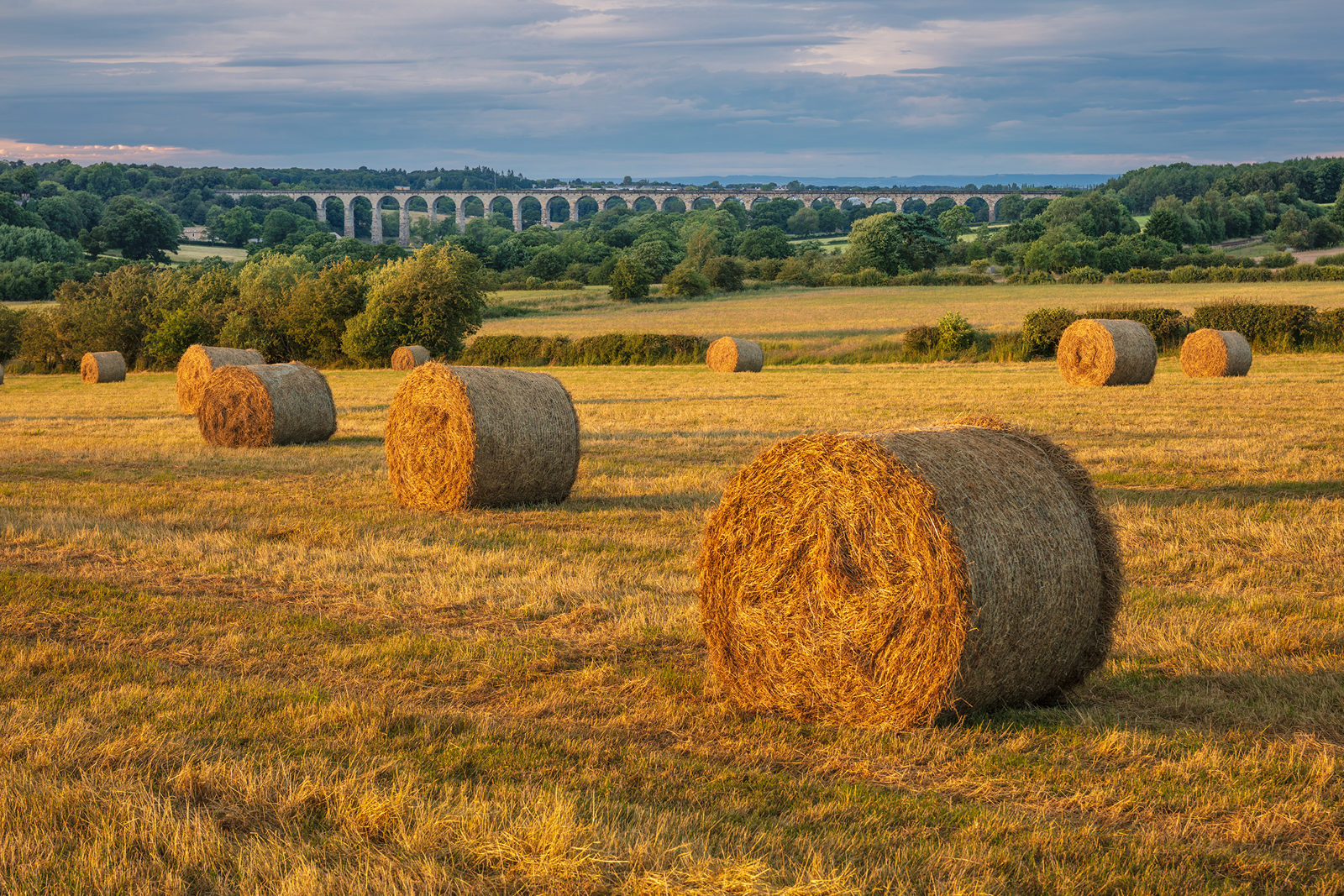 Round hay bales dot a field of short, golden grass in the Crimple Valley. In the background, the grand Crimple Viaduct with multiple arches spans a green valley under a soft blue sky with wispy clouds, hinting at the rural charm of Harrogate's landscapes. The evening sun casts a warm light across the scene, enhancing the textures and tranquil atmosphere.
