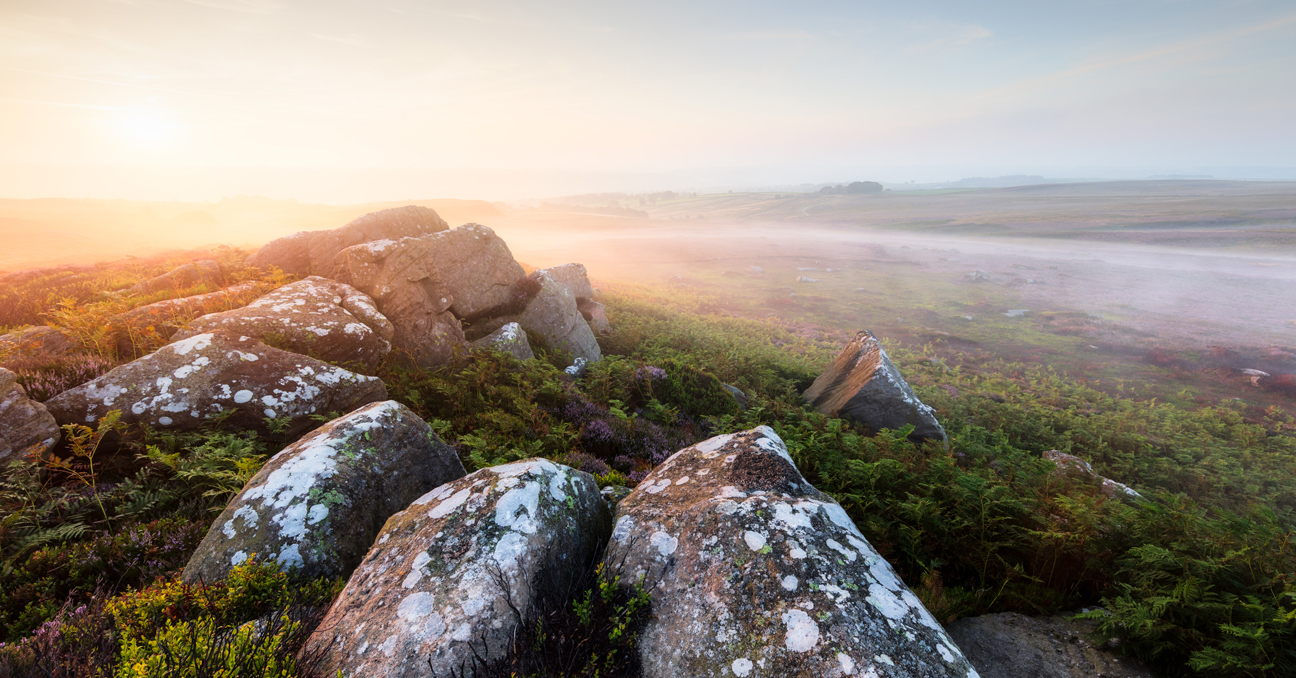 Moorland Landscapes