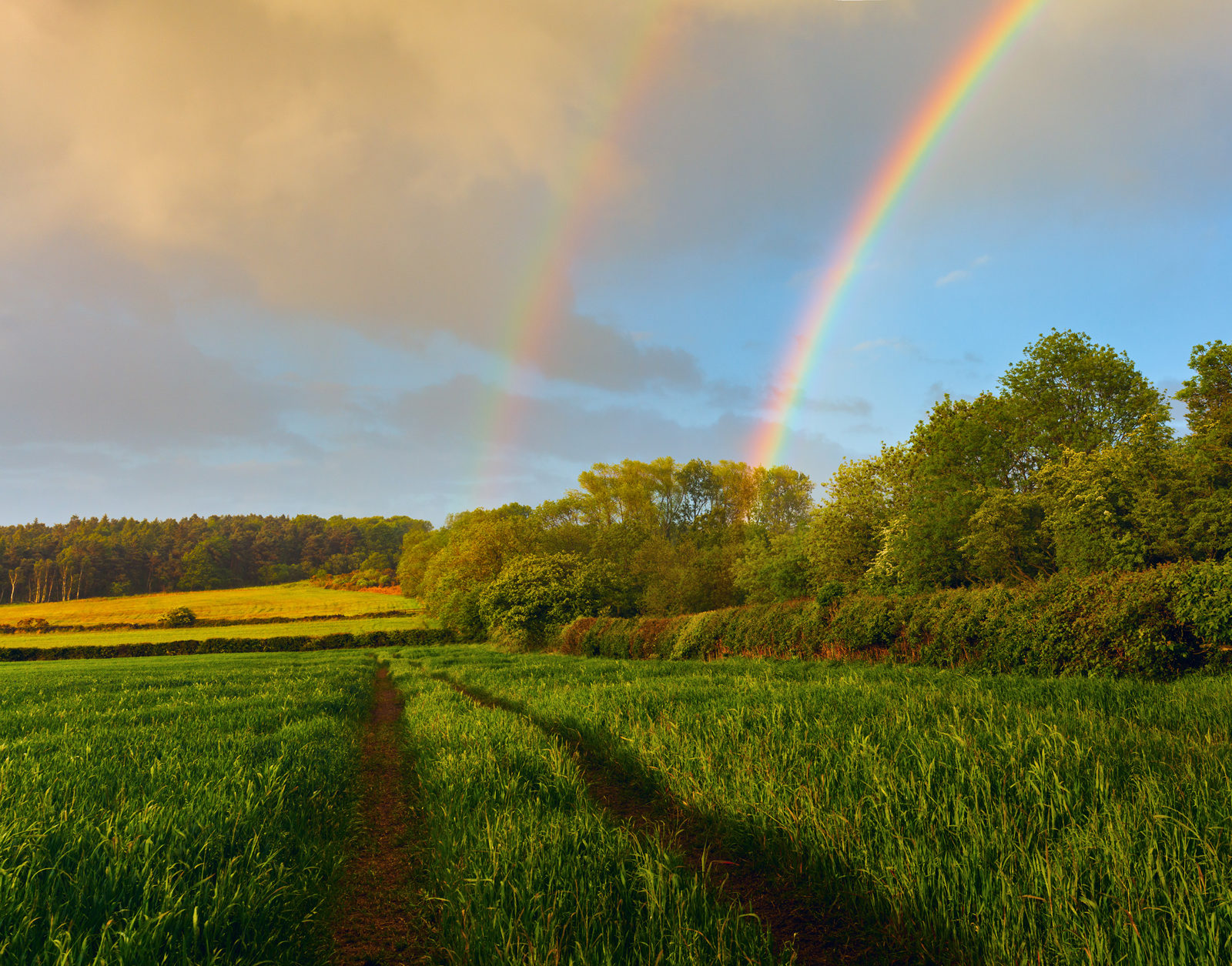 In Harrogate's Crimple Valley, a striking double rainbow arcs over a lush field with a footpath leading through it. Fresh greenery surrounds the path, under a sky where storm clouds part to reveal the evening light.