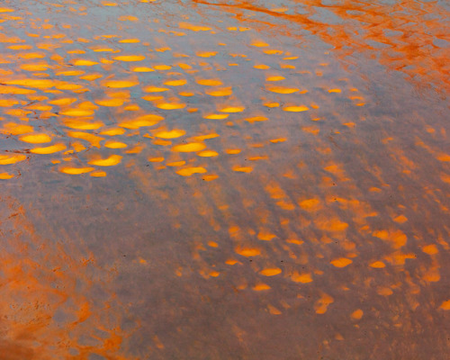 Reflections:  a close-up of a red surface