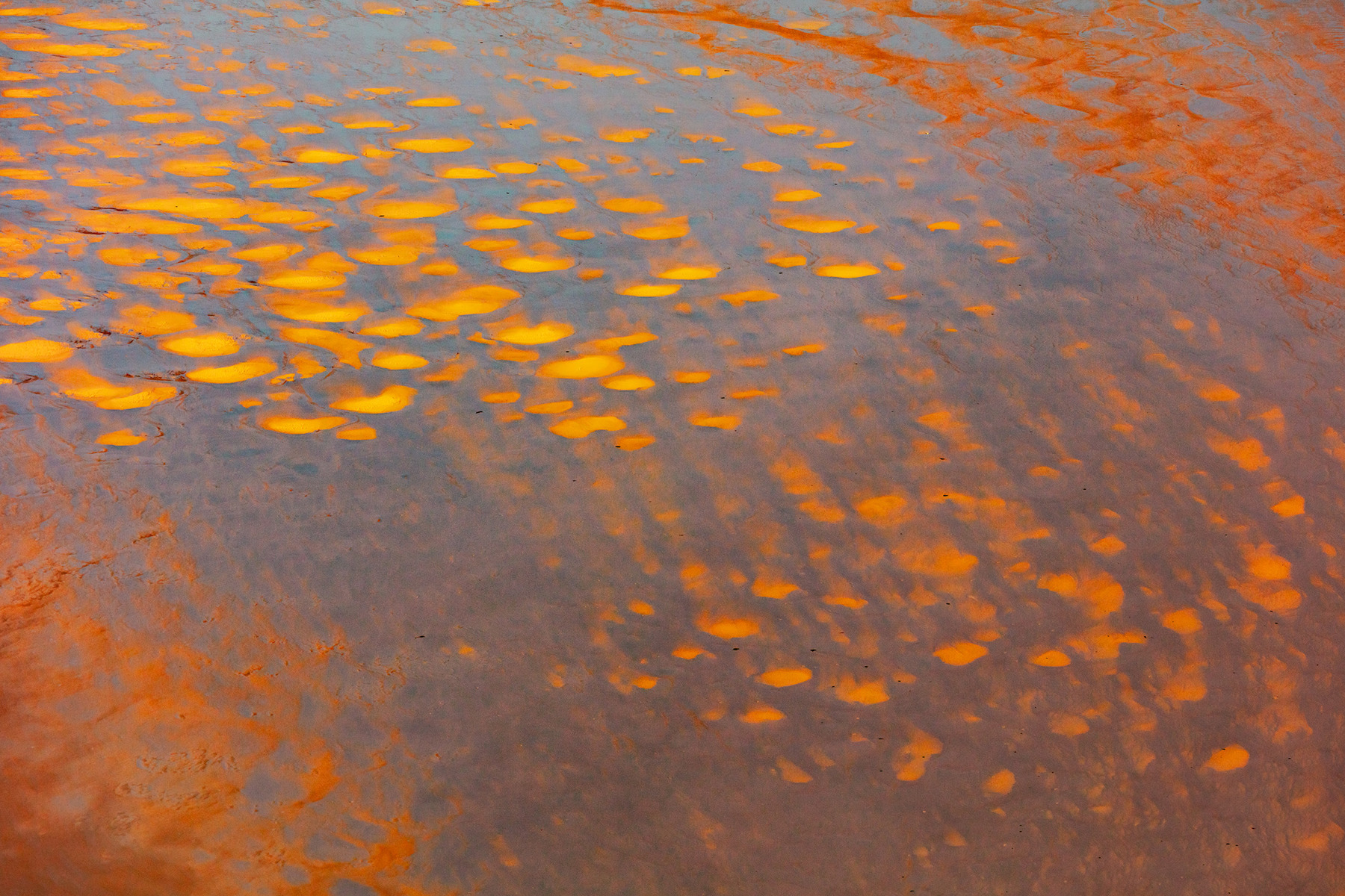 a close-up of a red surface. water amber abstract orange