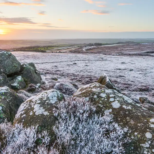 Winter Moorland Dawn