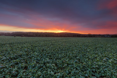 Vivid Winter sunrise