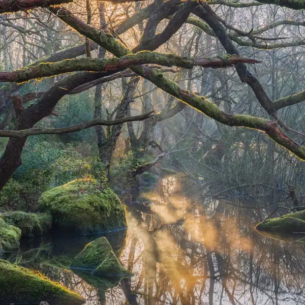 Lost World