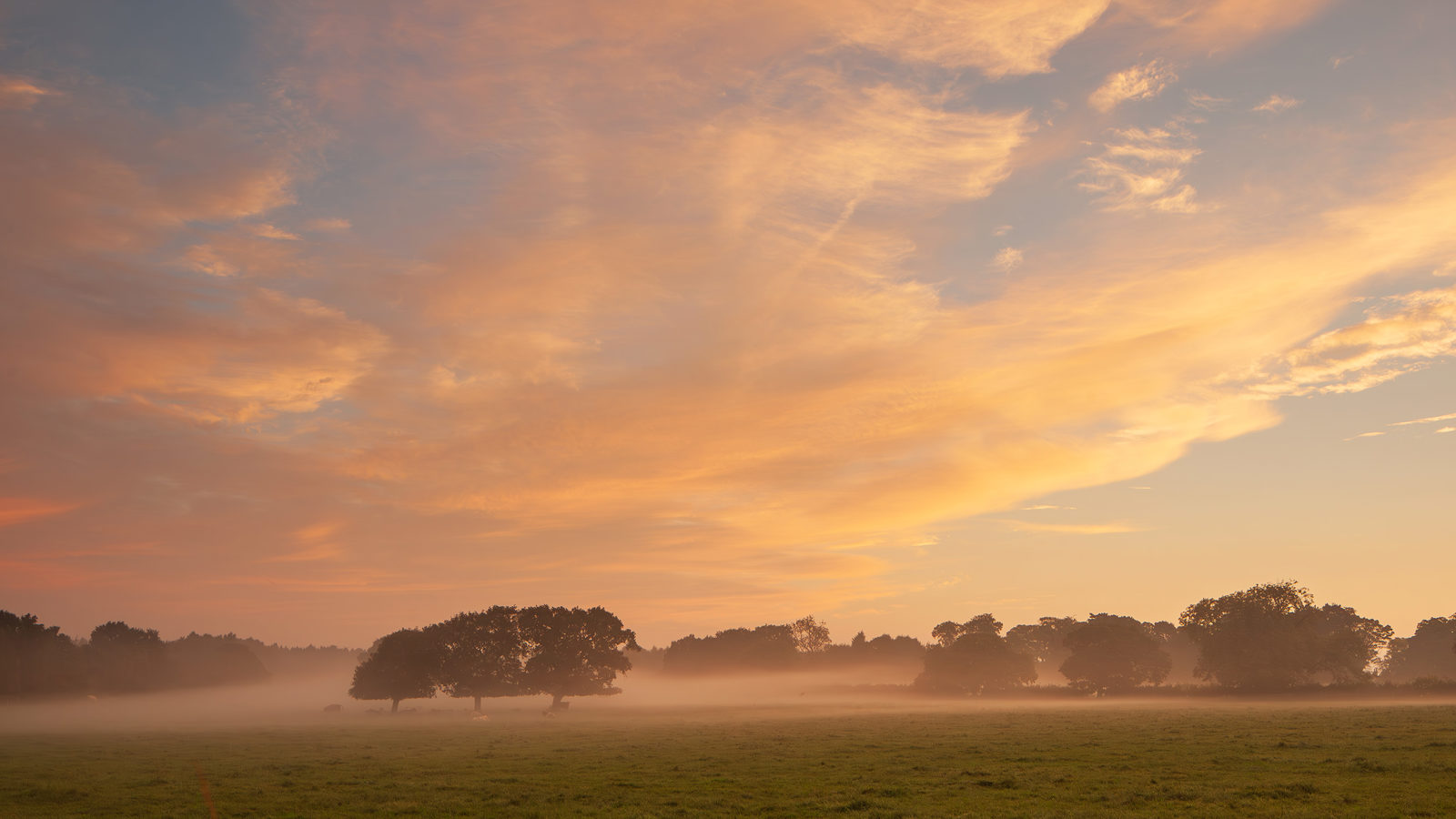 A serene Crimple Valley dawn in Harrogate, with a soft mist hugging the ground. Above, the sky is ablaze with warm amber and peach tones, casting a gentle light on the landscape and silhouetting trees against the glowing heavens.
