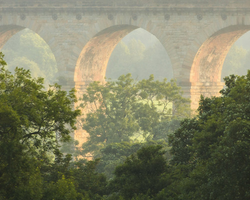 Crimple Valley Viaduct: A Marvel of Engineering and Beauty: The distant Crimple Viaduct through trees a person standing in front of a building