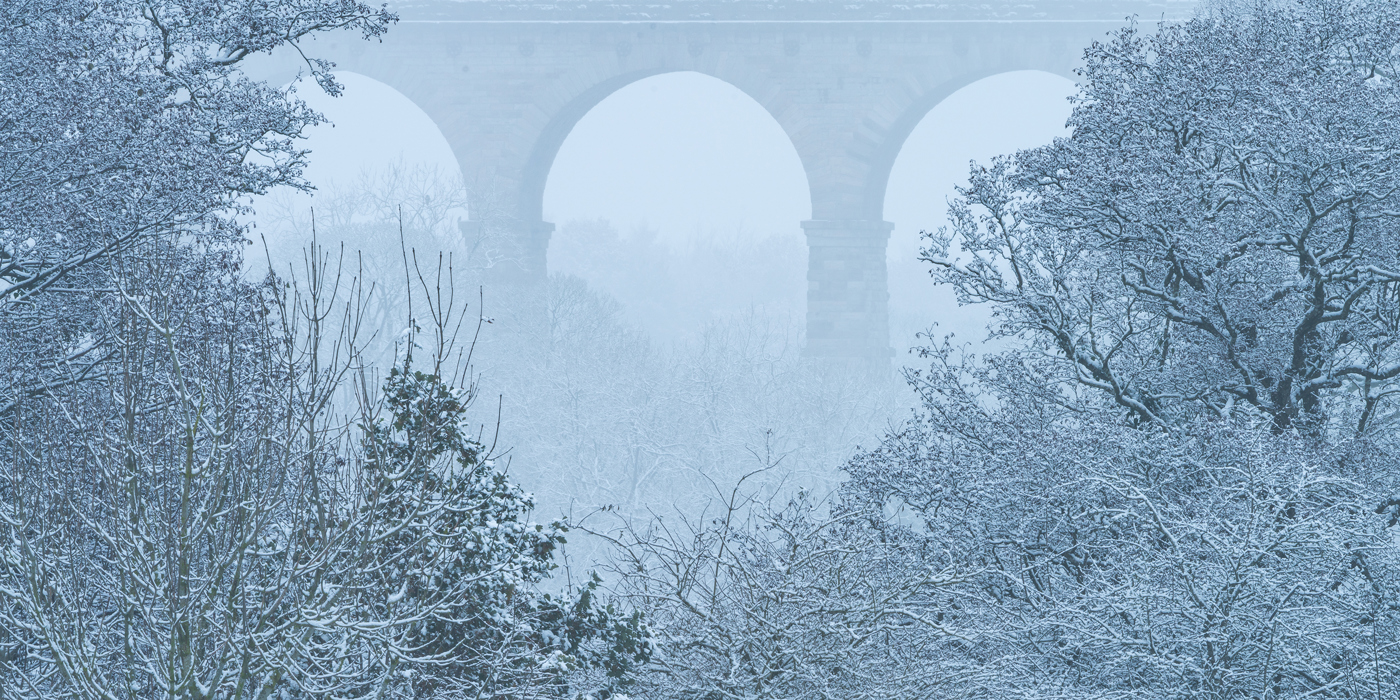 In the background, a majestic stone railway viaduct with multiple arches looms through a gentle haze. In the foreground, the intricate branches of numerous trees are highlighted by the snow, creating a delicate interplay of natural patterns. The overall mood is one of peaceful, chilly quietude. a snowy landscape with trees