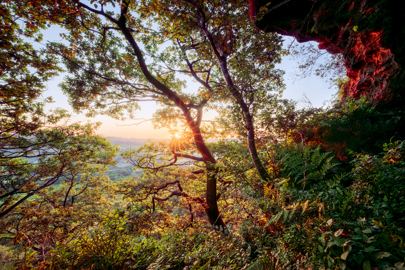 A serene sunrise peers through the dense foliage of North Yorkshire's woods. Lush green leaves dapple the warm glow as it blankets the landscape. The contours of distant hills silhouette against the soft sky on the horizon. The scene is a tranquil intersection of day's beginning and nature's quiet.