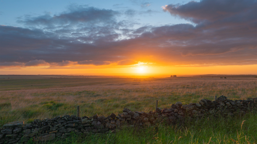 Enchanting North Yorkshire countryside at sunrise. The sky glows with warm hues: gold at the horizon blending into pink and blue upwards. The sun hovers low, casting a soft light over the expansive fields. A traditional dry stone wall trails across the foreground, marking the boundary of the lush pasture. Wispy clouds scatter across the sky, soaking up the sunrise's vivid colours. 